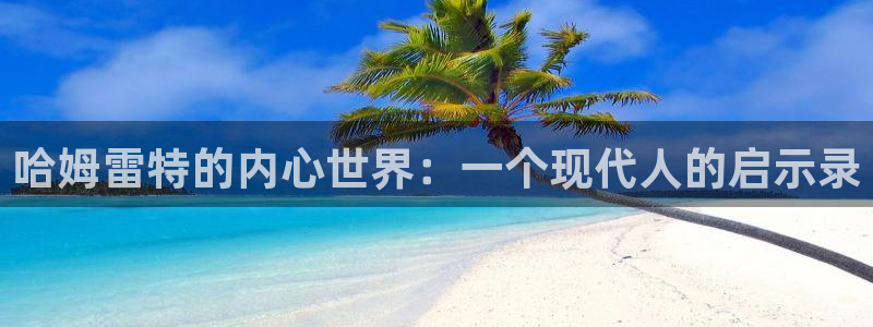 新宝gg待遇