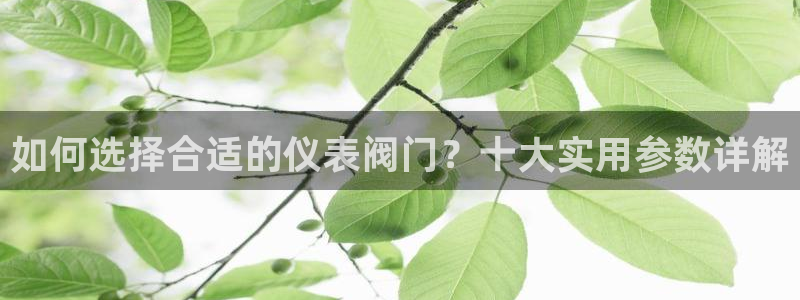 新宝gg靠谱吗