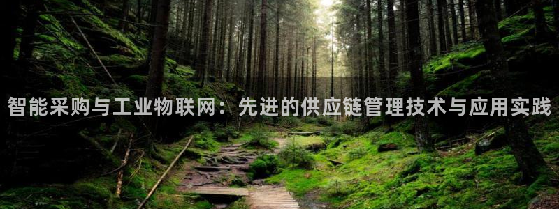 新宝彩票gg