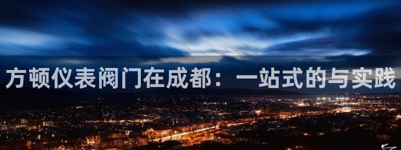 广东新宝电器gg