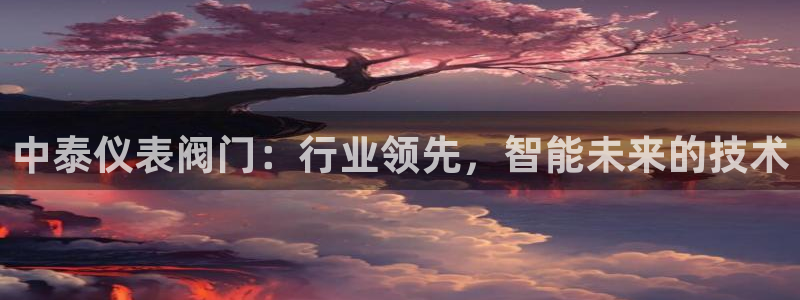 旧版新宝GG
