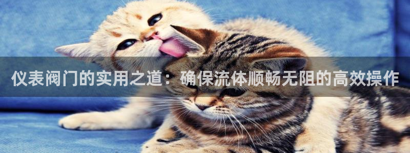 新宝 gg