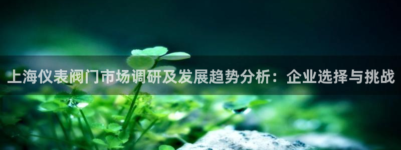 新宝gg测试