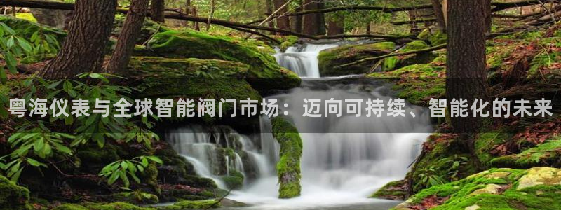 新宝gg娱乐vovq