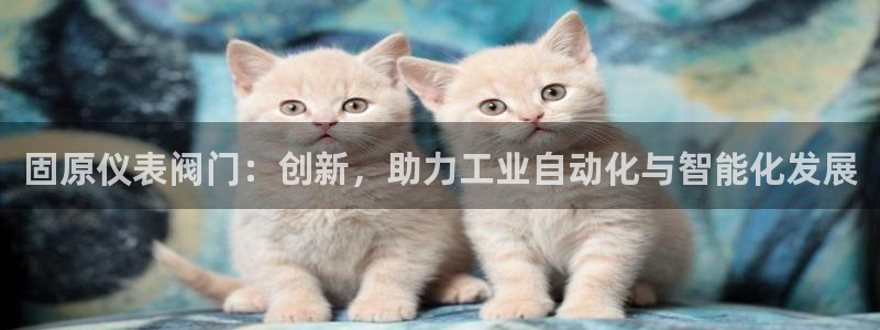 新宝gg娱乐主管q42873