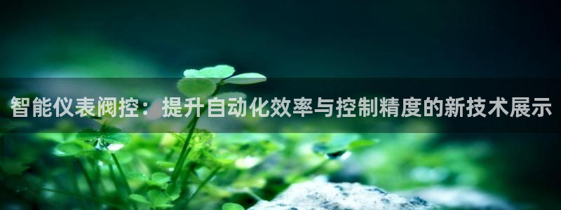 新宝gg娱乐平台