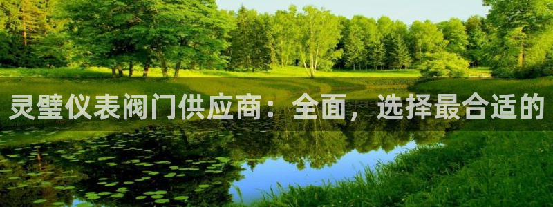 分分新宝gg