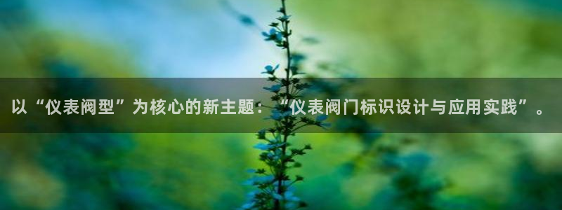 新宝gg怎样