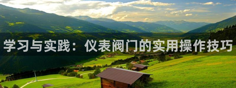 新宝 gg 下载
