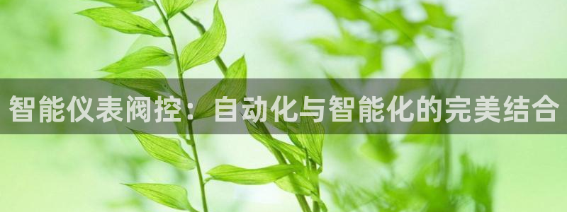 新宝gg黑平台