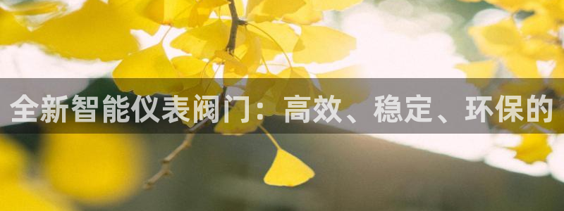 下载新宝gg