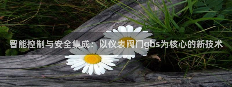新宝gg创