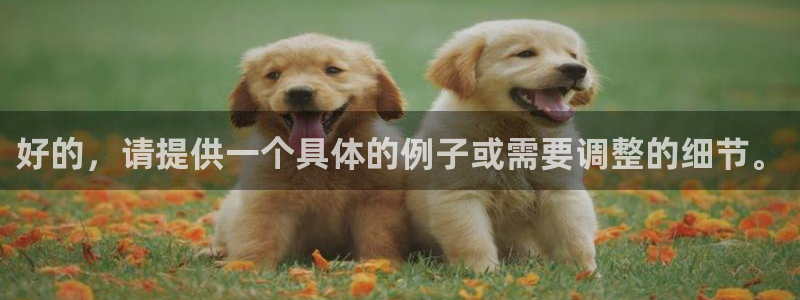 新宝gg指定平台