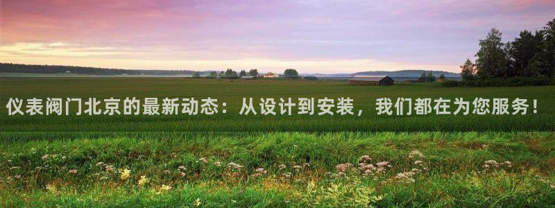 新宝gg 登录页面