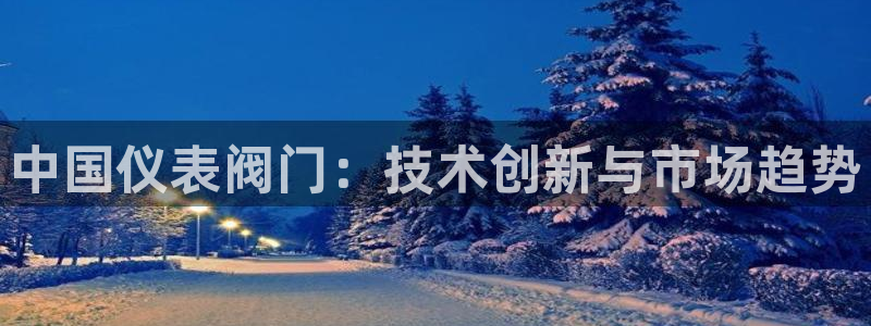 新宝gg入口网址