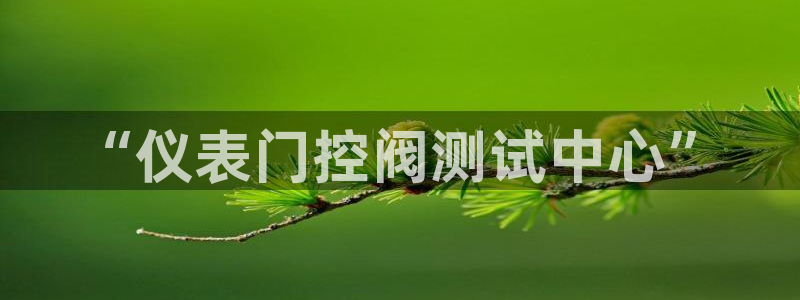 新宝gg找回账号