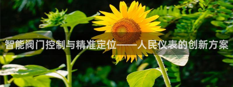 新宝gg-创业奇迹