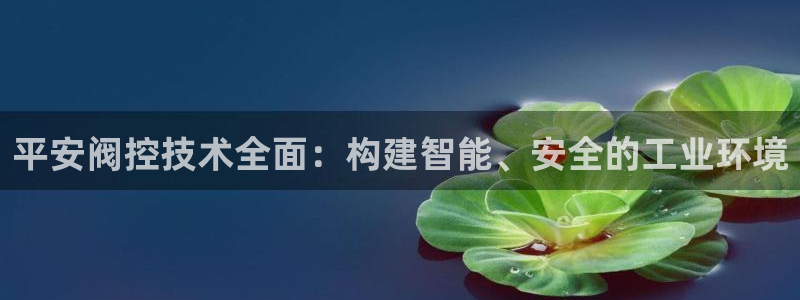 新宝gg平台gg登录gg网址