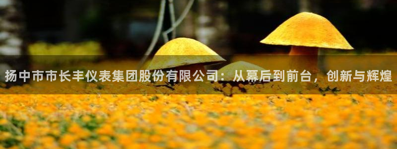 新宝gg为什么没人管