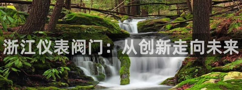 新宝gg平台连接