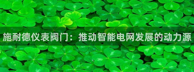 新宝gg开户流程