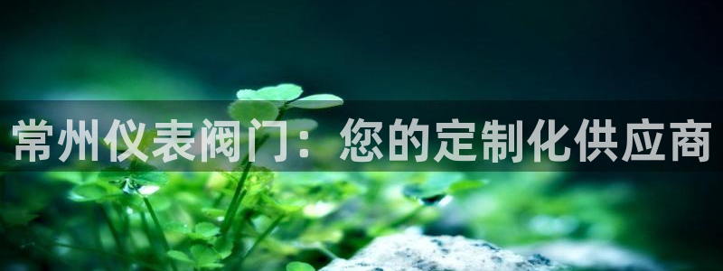 新宝gg娱乐官网