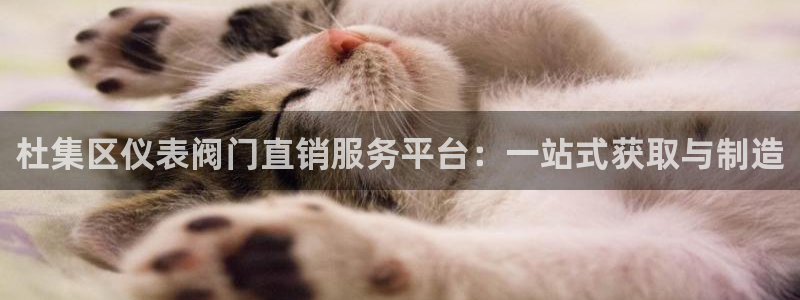 新宝gg登录链接