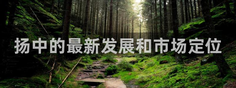 新宝gg信息