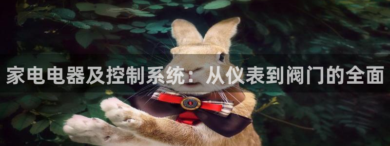 新宝gg平台