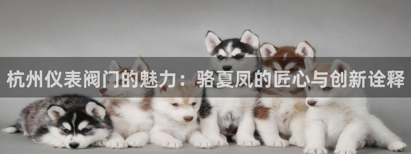 新宝gg指定平台