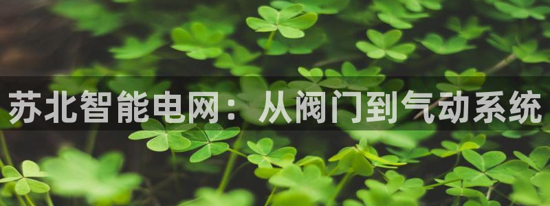 新宝gg开奖结果