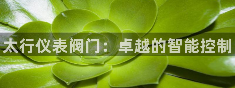 新宝gg提点