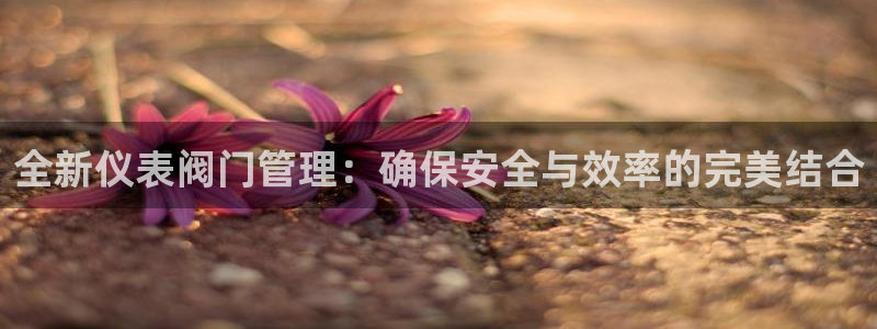 新宝gg手机注册官网