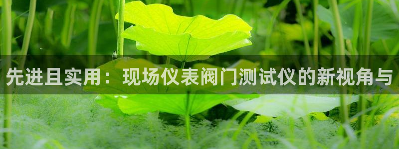 网站新宝GG