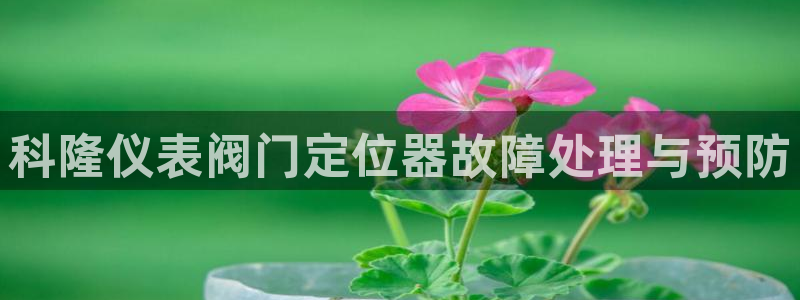 新宝gg软件下载