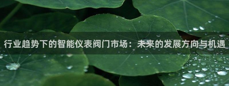 新宝gg真的能赚钱么