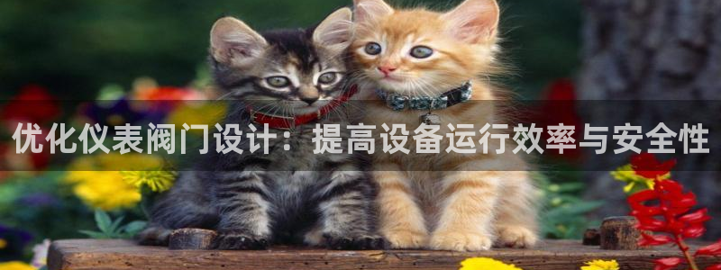 新宝gg网址