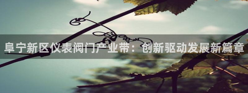 新宝gg怎样代理
