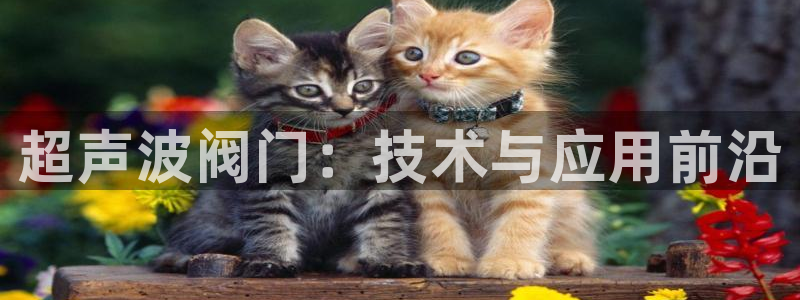 新宝gg游戏平台